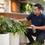 gambar crew sedang merawat tanaman dari tim tanamanrental.com
