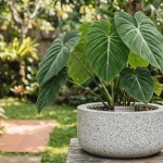 Pot teraso mewah dari bakmandiunik.com untuk mempercantik tata ruang lanskap rumah